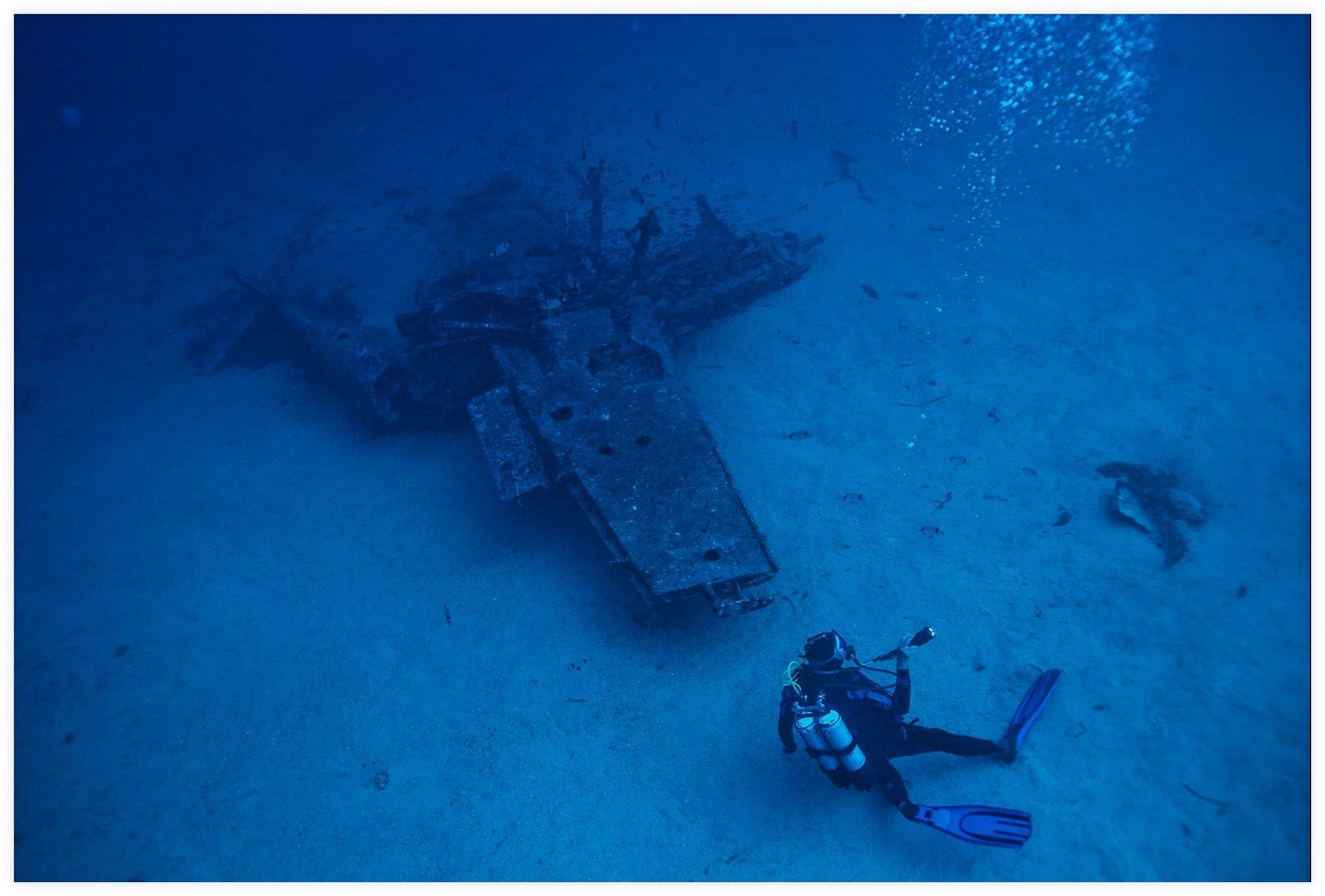 #3 image alt text example - Scuba diver